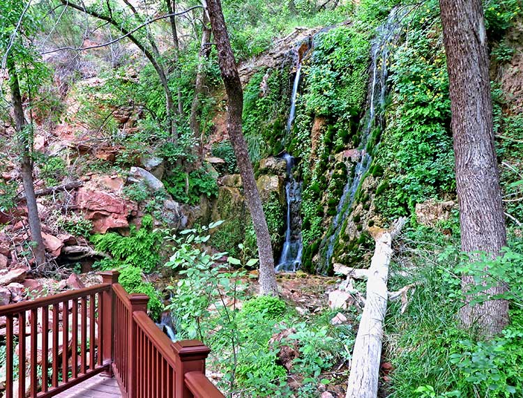 zions hidden waterfall