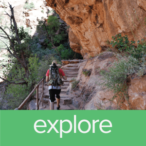 Explore Zion National Park