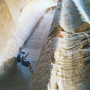 Zion National Park rappelling