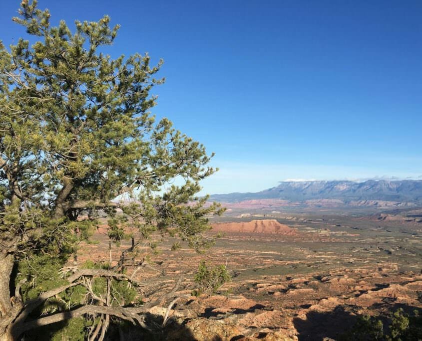 View from Gooseberry Mesa near Zion National Park