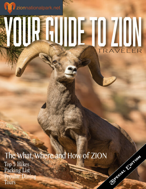 Guide to Zion - The What, Where and How of ZION